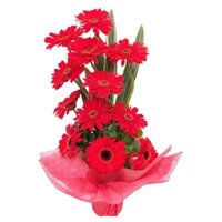 Send 12 Red Gerbera Basket with Rakhi and Flowers to Bangalore