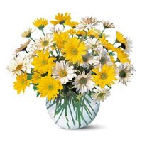 Online Diwali Flowers Delivery in Bangalore of Yellow White Gerbera in Vase 24 Flowers to Bengaluru