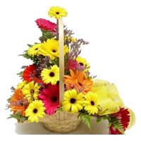 Send Online Mixed Gerbera Basket 12 Flowers with Rakhi in Bangalore