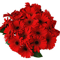 Valentine Flower Delivery in Bangalore