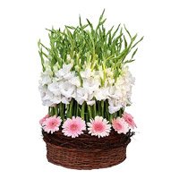 Send Pink Gerbera White Glad Basket 30 Flowers to Bengaluru on Friendship Day
