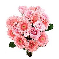 Buy New Year Flowers Online in Bangalore 18 Pink Gerbera Roses Bouquet Flowers to Bangalore