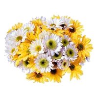 Flowers Delivery in Bangalore for Friendship Day. White Yellow Gerbera Bouquet 36 Flowers