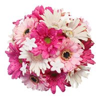 Send White Pink Gerbera Bouquet 36 Flowers in Bangalore