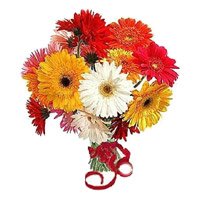 Send online New Year Flowers to Bangalore. Mixed Gerbera Bouquet 12 Flowers Bangalore