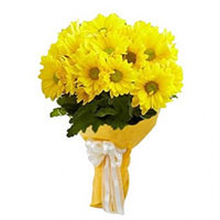 Online New Year Flowers to Bangalore. Yellow Gerbera Bouquet 12 Flowers Online Delivery in Bangalore