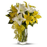 Buy Rakhi with White Yellow Lily in Vase 6 Stems Flower in Bangalore