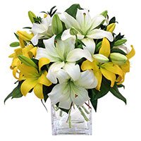 Send New Year Flowers in Bengaluru with White Yellow Lily Vase 8 Flower Stems
