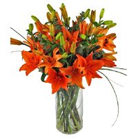 Send Rakhi with Orange Lily Vase 8 Stems Flowers in Bangalore