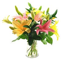 Send Diwali Flowers to Bangalore with Mix Lily Vase 5 Flower Stems