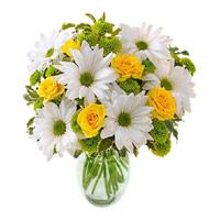 Online Flower Delivery in Bengaluru - Anthurium Basket