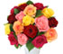 Send Roses to Mangalore