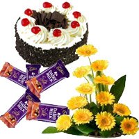 Send Arrangement of 12 yellow Gerbera with 5 Dairy Milk Silk(60 gm. each) and 1 kg Black Forest Cake as Gifts to Bangalore for Friendship Day