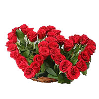 Deliver Rose Day Flowers to Bangalore
