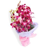 Find Online Purple Orchid Bunch 5 Flowers Stem and Send Flower to Manipal on New Year
