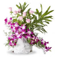 Send Fresh Flower to Begaluru