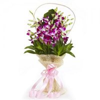 New Year Flowers Delivery in Bangalore. Purple Orchid Bunch of 8 Stems Flowers in Bangalore