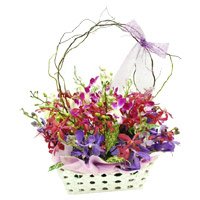 Send Rakhi with Flowers in Bangalore. Mixed Orchid with Stem in Basket of 12 Flowers to Bangalore