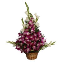 Send Flowers to Bengaluru - Orchid Arrangements