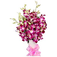 Friendship Day Flower Delivery to Bangalore. Purple Orchid Bunch 12 Flowers Stem