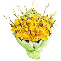 New Year Flower Delivery in Bangalore with Bunch of Yellow Orchid 6 Flowers Stem