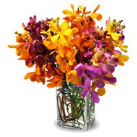 Get Best Diwali Flowers Delivery in Bangalore made of Mixed Orchid Vase 10 Flowers Stem