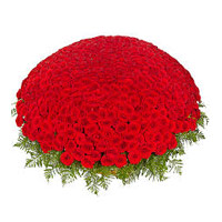 Online Rakhi Flower of Red Roses Basket 1000 Flowers to Bangalore