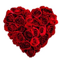 Best Online Flowers Delivery in Bangalore including Red Roses Heart Arrangement of 100 New Year Flowers in Bangalore