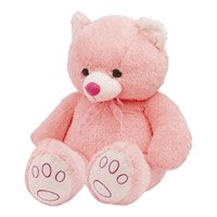 Send Valentine's Day Teddy Bears to Bangalore