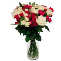 Same Day Deliver White Pink Roses in Vase of 24 Diwali Flowers to Bangalore