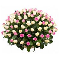 Send White Pink Roses Basket of 100 New Year Flowers to Mysore Bangalore