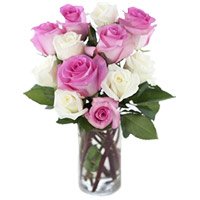Same Day Deliver Pink White Roses Vase of 12 Diwali Flowers to Bangalore