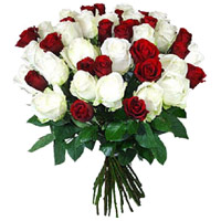 Online Roses in Bangalore