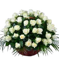 Online Flowers to Bengaluru : White Roses