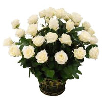Deliver Flowers to Bangalore : 24 White Roses Basket