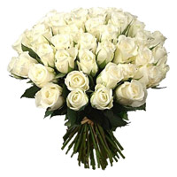 Deliver Flowers in Bangalore
