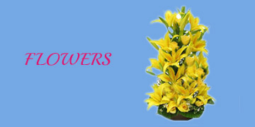 Send Mother's Day Flowers to Bangalore