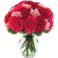 Deliver Mothers Day Flowers in Bangalore