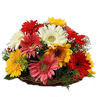 Send Flowers in Bangalore Same Day